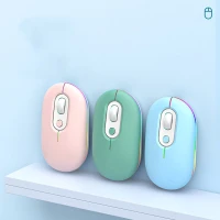 Mice